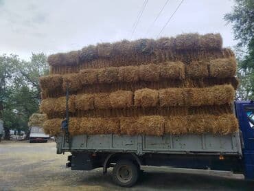 удобрение нового поколения: Покупаю клевер салому с сенвала с поли на сенвале либо количество — 1