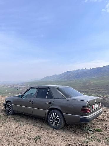 b class: Mercedes-Benz W124: 1992 г., 2.5 л, Ручные, Дизель, Седан — 6