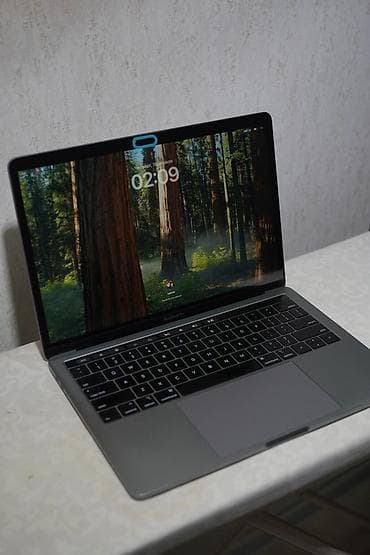 pro 13: Ноутбук Apple MacBook Pro 13.3" 2019 i5-8257U 8th Gen/Intel Iris Plus — 6