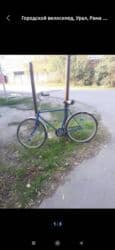 прокат велосипедов бишкек: Шаардык велосипед, Урал, Велосипед алкагы XL (180 - 195 см), Колдонулган — 1