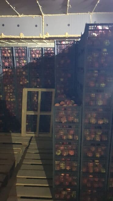 старый буфет: Пластиковый Ящик — 7