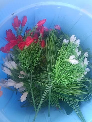 алма бутоо: Искусственные флористические заготовки - Пучки искусственной зелени и — 1