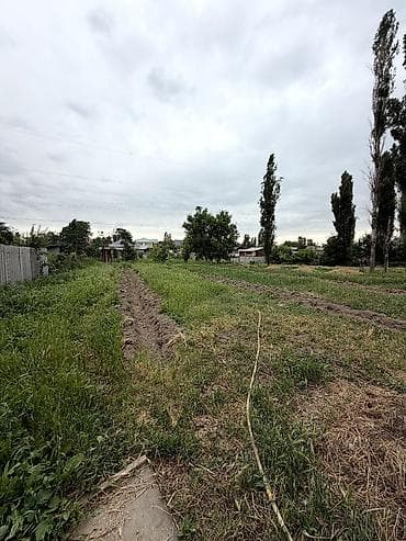 контейнер манас: 🏡 Продается большой дом в Гавриловке 📍 Участок: 12 соток 🏠 Дом: 6 — 7