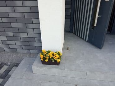 купить семена люцерны и эспарцета: Сад — 1