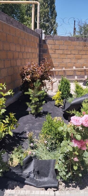 система автополива: Автополив газона + Ландшафтный дизайн Ваш участок всегда зелёный и — 12