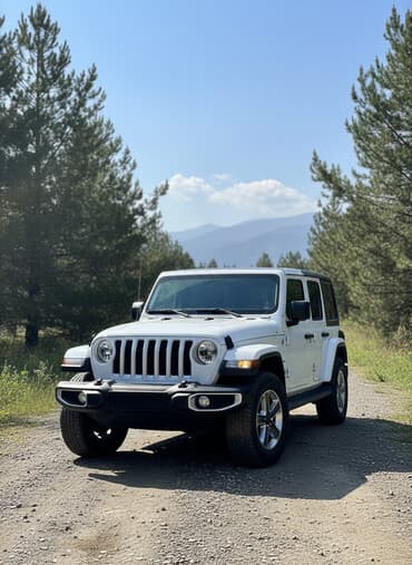 панел на ваз 2107: Jeep Wrangler: 2019 г., 2 л, Автомат, Бензиновая, Внедорожник — 2