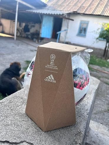 мяч фифа: Футбольный мяч Adidas Telstar Mechta — официальный матчбол ЧМ-2018 — 3