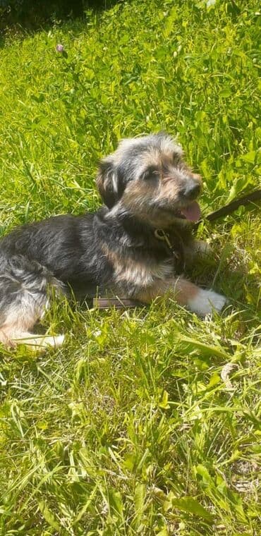 казакча той ырлары 2020 скачать: Чудесный мальчик Кузя ждёт своих мам и пап . Добрый активный мальчик — 1