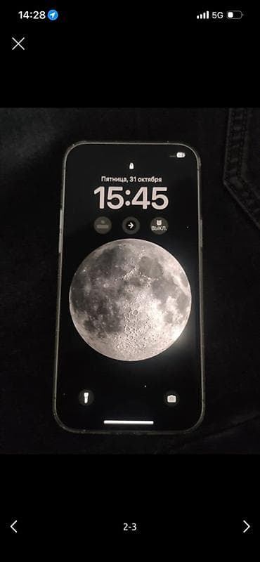 IPhone 12 Pro Max, 256 ГБ, Серебристый, Чехол