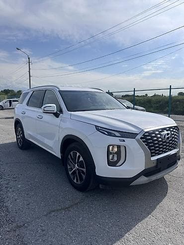 железные пороги: Hyundai Palisade: 2020 г., 2.2 л, Автомат, Дизель, Кроссовер — 4