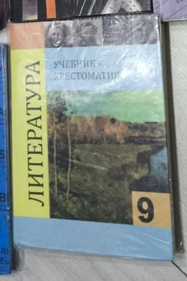 Русская литература, 9 класс, Б/у, Самовывоз