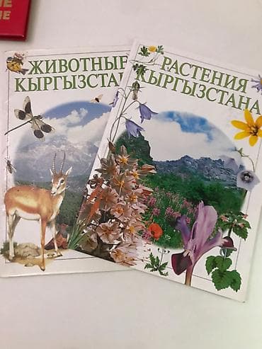 Книжки 2 шт