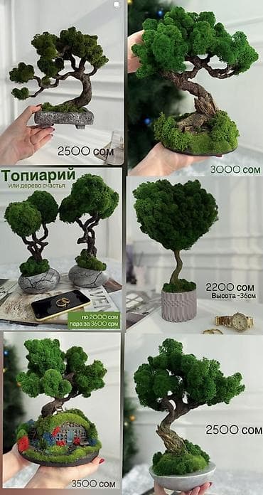 мини аквариум купить: Миниатюрные ДЕРЕВЬЯ Бонсай из стабилизированного мха — это стильная — 6