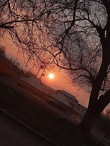 наружное реклама: Широкоформатная печать, | Картины — 4