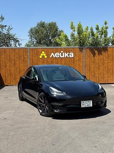для ручек: Tesla Model 3: 2020 г., Электромобиль, Седан — 2