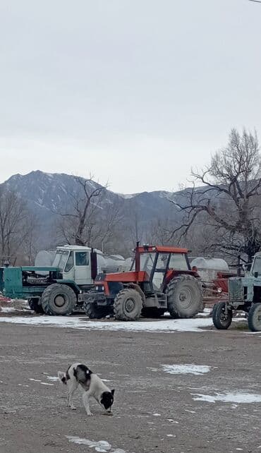 мтз 82 бу цена бишкек: Модель: Другие тракторы МТЗ, Б/у, 2000 г., Трактор с другими агрегатами — 3