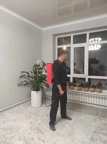 одежда для кормящих: Дезинфекция, дезинсекция, | Муравьи, | Квартиры — 1