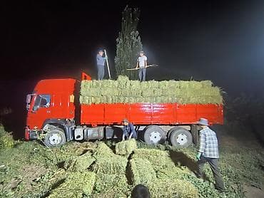 Транспорт: Тягач, Howo, Бортовой — 3