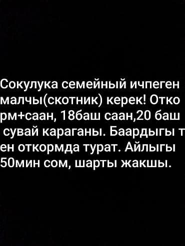 Вакансии: Требуется Скотник, Оплата: Ежемесячно — 1