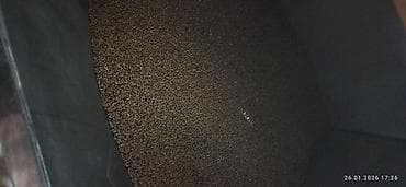 цельнозерновая мука цена: Цельно зерновая мука - Натуральная помол мелкого калибра: хорошо — 9