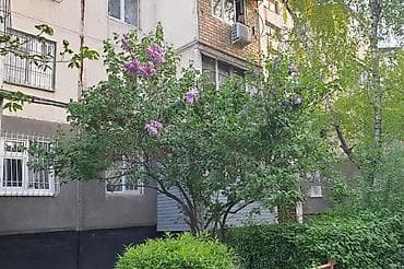 58: 3 комнаты, 58 м², 104 серия, 1 этаж, Евроремонт — 1