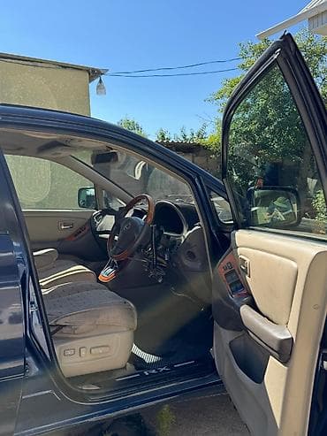 Lexus RX: 2001 г., 3 л, Автомат, Бензин, Кроссовер — 9