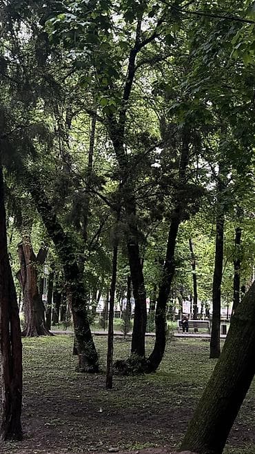 массаж на выезд каракол: Массажист хиджамист кыздар керек в Даба Мед — 5