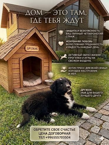 2 месяца, Самка