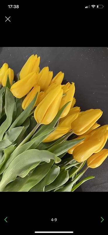 тюльпан гул: Организация мероприятий | Гелевые шары, Букеты, флористика, Ведущий, тамада — 3