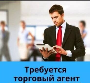 ищу работу торгового представителя: Требуется Торговый агент, График: Пятидневка, Без опыта, % от продаж, Полный рабочий день — 1