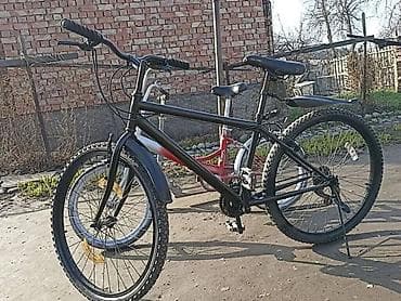 single speed: Продаются транспортные средства для активного отдыха комплектом или по — 1