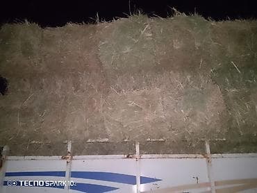 Сено в тюках - Прессованные прямоугольные тюки, аккуратно связанные