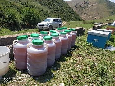 инвесторов: Ищу инвестора для развитии и расширение пчеловодства позвоните обсудим — 2