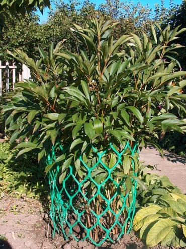 красивые картины: Декор для дома и сада — 5