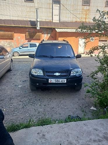 Chevrolet Niva: 2010 г., Кроссовер