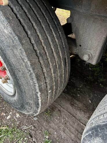 полуприцеп холодильник: Прицеп, Schmitz Cargobull, Рефрижератор, от 12 т, Б/у — 4