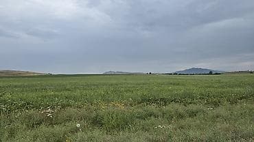 село чокморова: 7 соток, Для строительства — 4