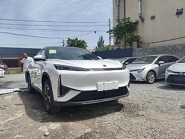 byd delphin: BYD : 2026 г., Электромобиль, Кроссовер — 2