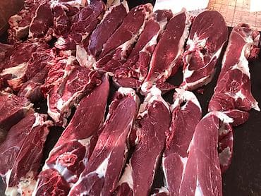 живой форел: Мясо ляшки, филе ребра, жир, всё есть 
Кому надо на заказ — 4