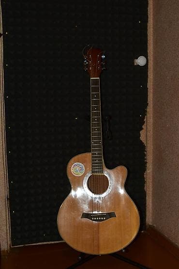 Гитра массив ели корея