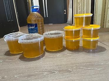 Продукты питания: Натуральный мед янтарного цвета, представленный в различныхn емкостях — 2