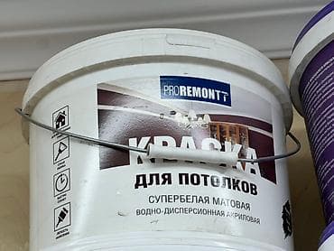work emotion: Краска Proremontt для потолков в белом пластиковом ведре. Матовая — 1