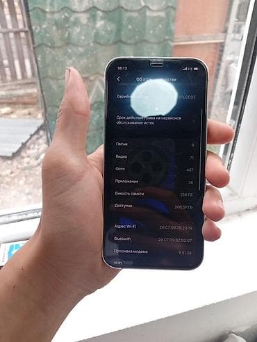 ipad mini 1: IPhone 12 Pro, 256 ГБ, Серебристый — 4