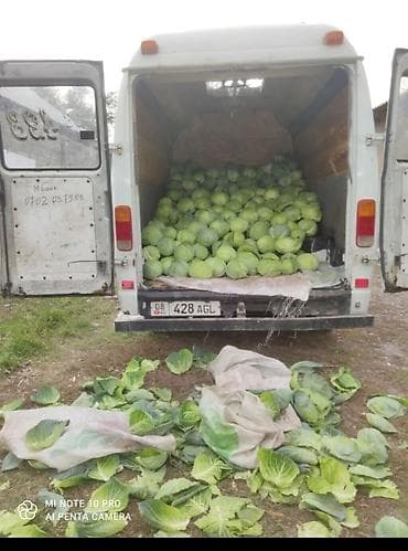 форт транзит сатылат: Жүк ташуучу унаа, Mercedes-Benz — 7