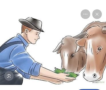 Мал караганы бала керек . Семейный или бойдок уй берилет шартары