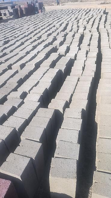 купить пк клуб: Пескоблочный станок полу автоматика сталылат .600 — 8