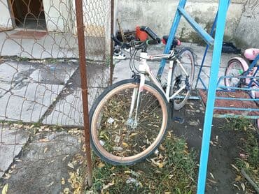 крепление для велосипедов: Городской велосипед, Stels, Рама M (156 - 178 см), Б/у — 1