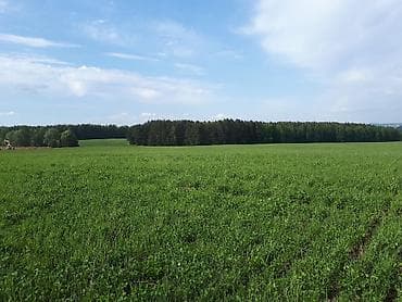 бишкек дом сатылат: 100 соток, Айыл чарба үчүн, Кызыл китеп — 1