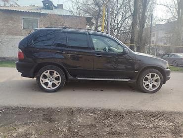 BMW: BMW X5: 2003 г., 3 л, Автомат, Дизель, Кроссовер — 3