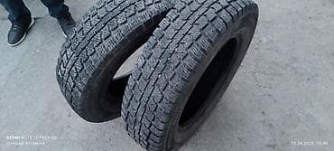 бир: Шиналар 195 / 75 / R 16, Кыш, Жуп, Жеңил коммерциялык транспорт (C/LT), Viatti — 1